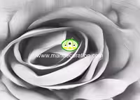 پوستردیواری گل کد 13259