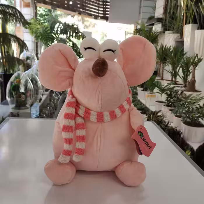 عروسک موش شالگردنی در زنجان