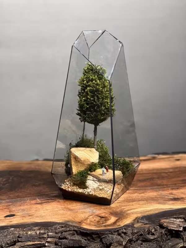 قیمت و خرید وابی کوزا طرح استون (تراریوم)