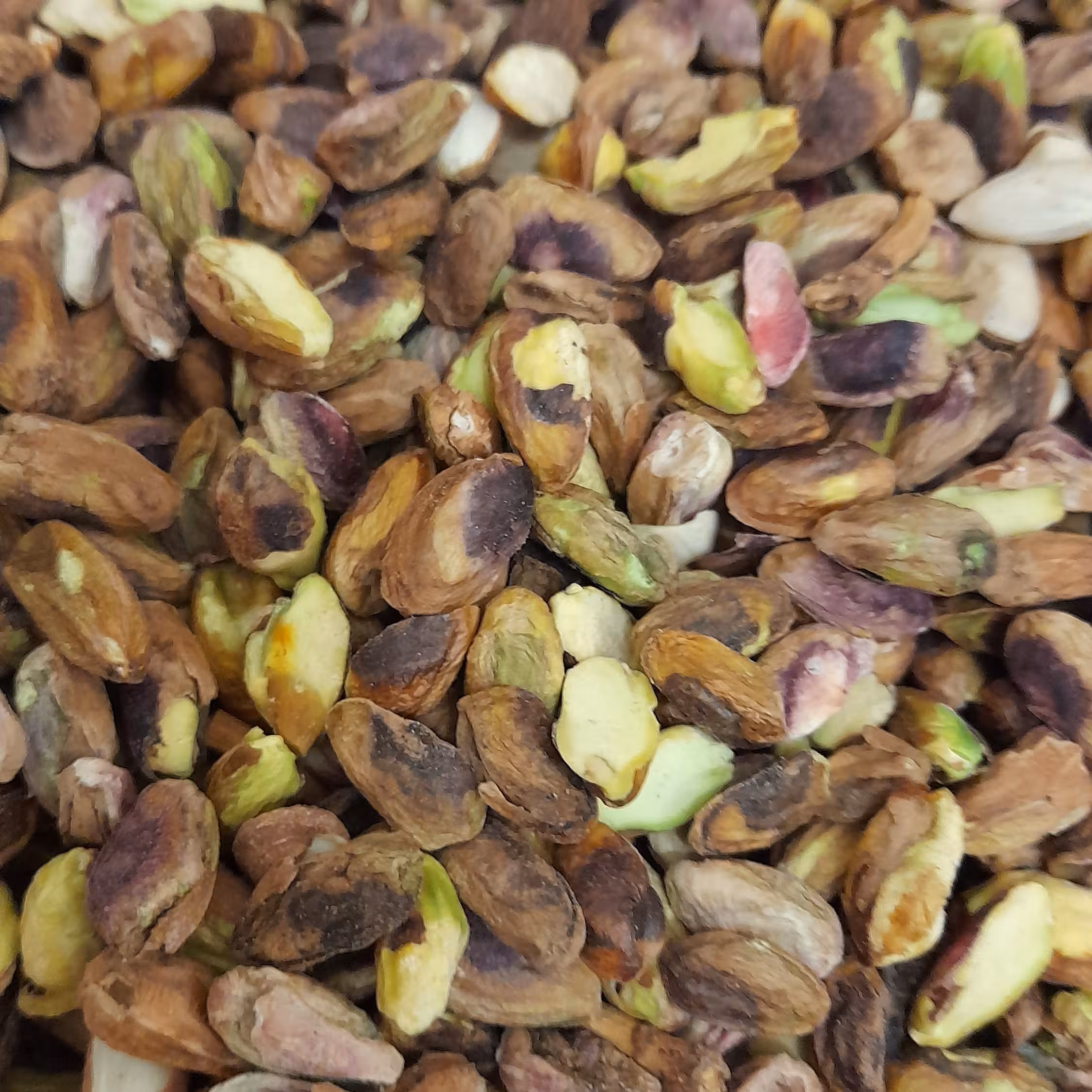 مغز پسته سفید معمولی