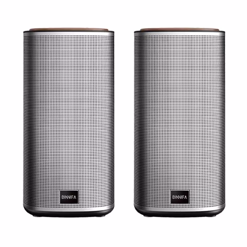 اسپیکر بلوتوث شیائومی BINNIFA Play 2D Bluetooth 5.0 Stereo Speaker