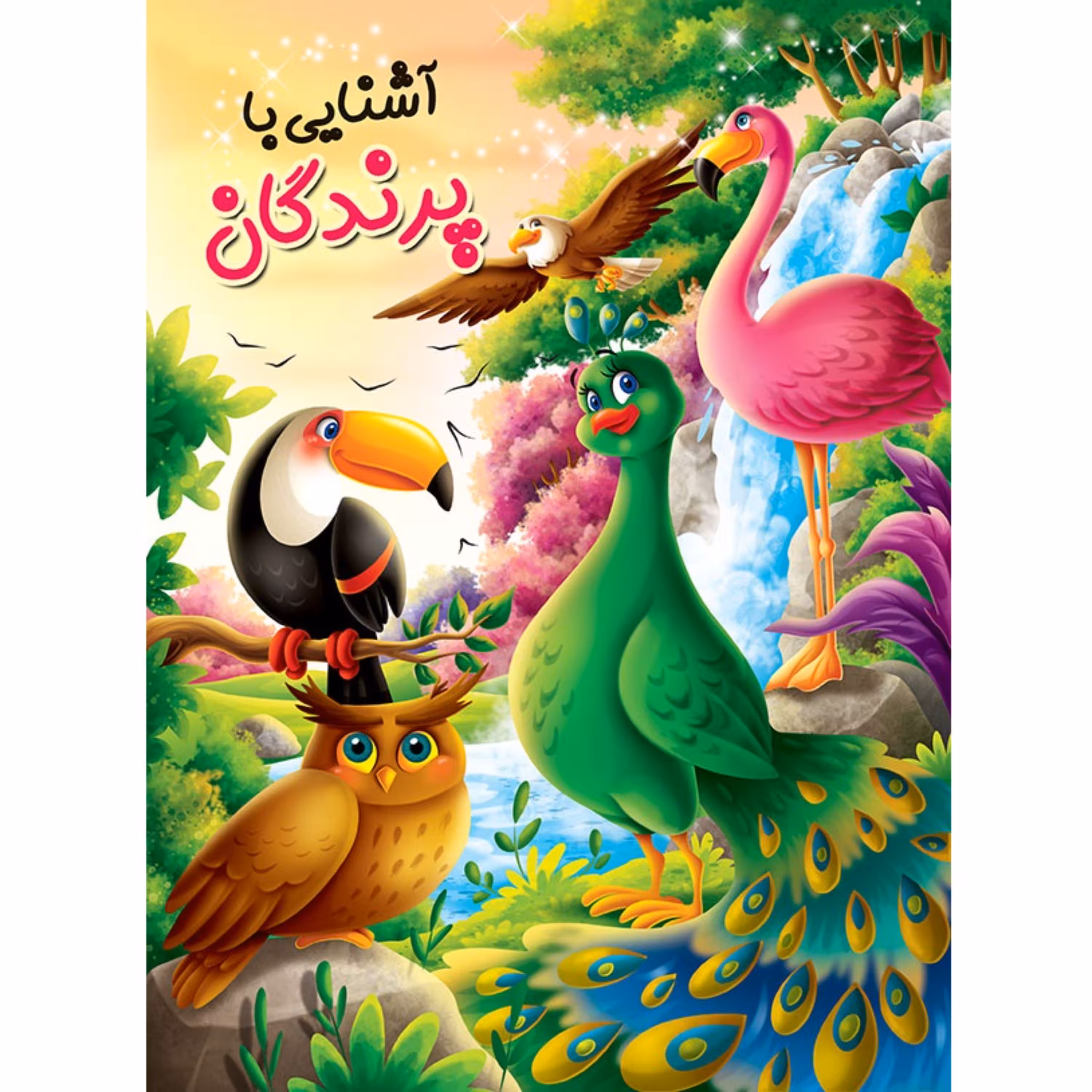 کتاب آشنایی با پرندگان - رنگ آمیزی - شعر - مازبازی - 12 صفحه رحلی