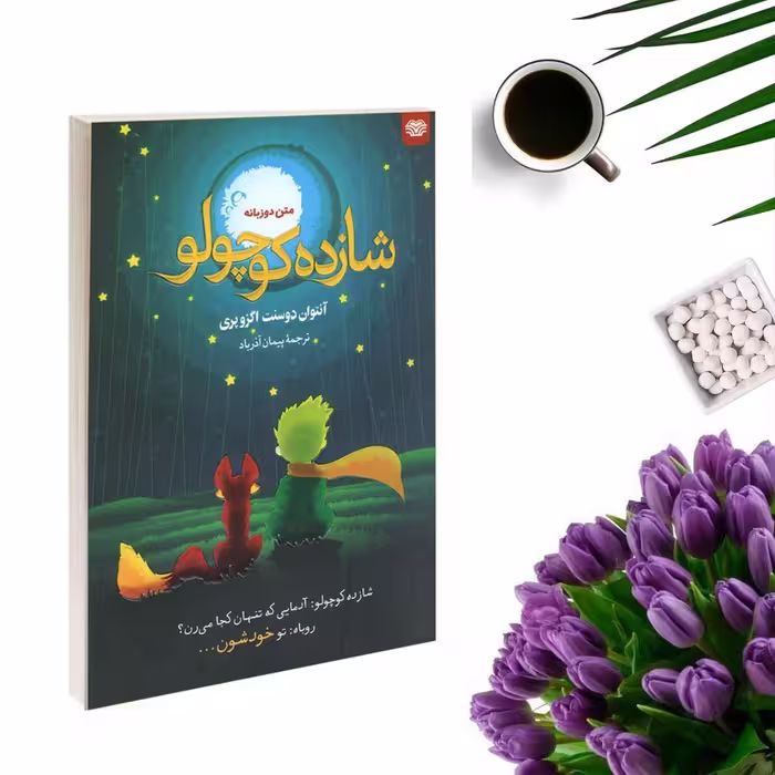 کتاب شازده کوچولو دو زبانه اثر آنتوان دوسنت اگزوپری انتشارات اردیبهشت