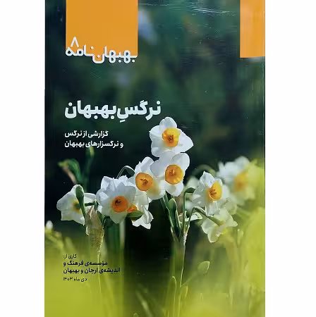 نرگس بهبهان: گزارشی از نرگس و نرگسزارهای بهبهان