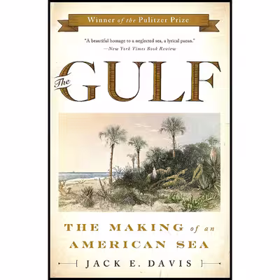 کتاب The Gulf اثر Jack E. Davis انتشارات Liveright