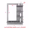 آینه  مدل DLF40L