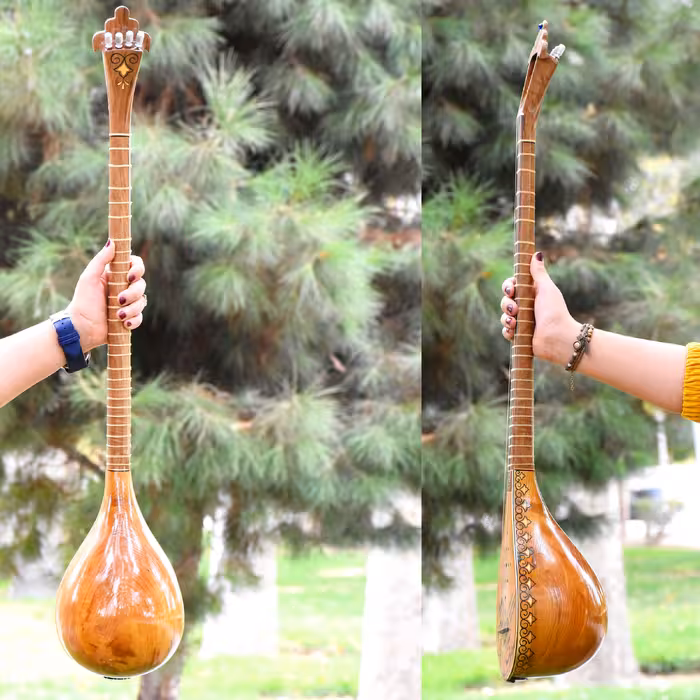 سه تار ایران ساز مدل جهان