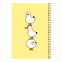 دفتر مشق 80 برگ اس جی طرح اردک های بامزه