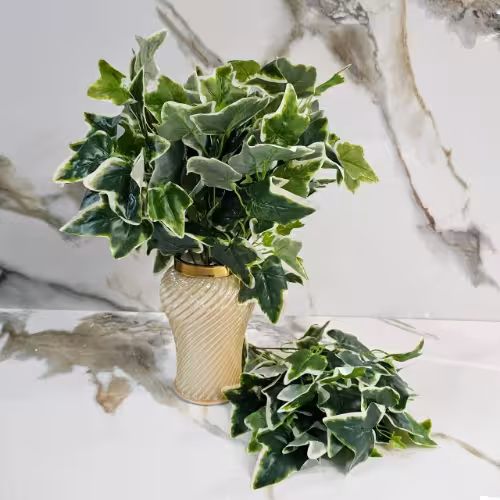 بوته پاپیتال ابلق مصنوعی