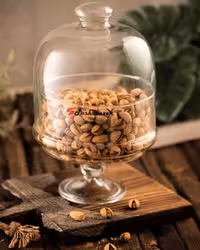 عسل خوری بیسیک پلاس پایه دار پاشاسازه کد 49012