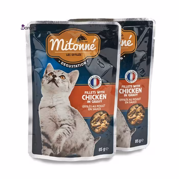 پوچ گربه میتونه مرغ