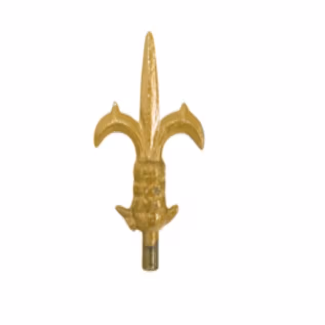 سرنیزه شاخدار