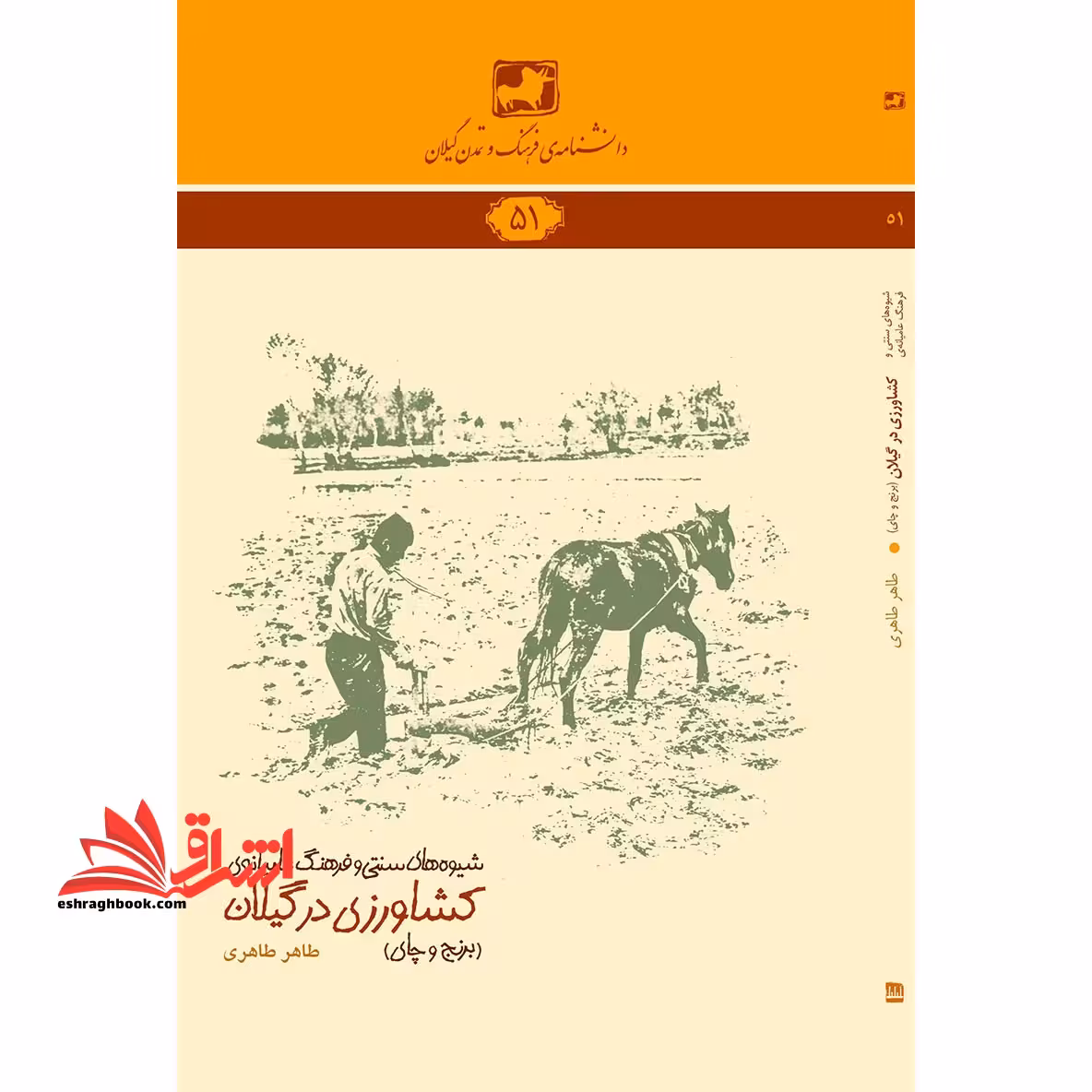 کشاورزی در گیلان؛ گندم، ابریشم، زیتون، بادام زمینی، نیشکر - فروشگاه کتاب اشراق