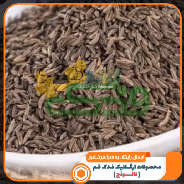 زیره سیاه ممتاز فدک (120گرم)