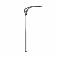 چراغ خیابانی شعاع ارتفاع 4 متر 50 وات کد SH-AR9741