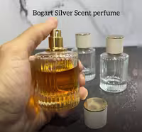 اسانس گرمی عطر مردانه سیلور سنت بوگارت کد 877