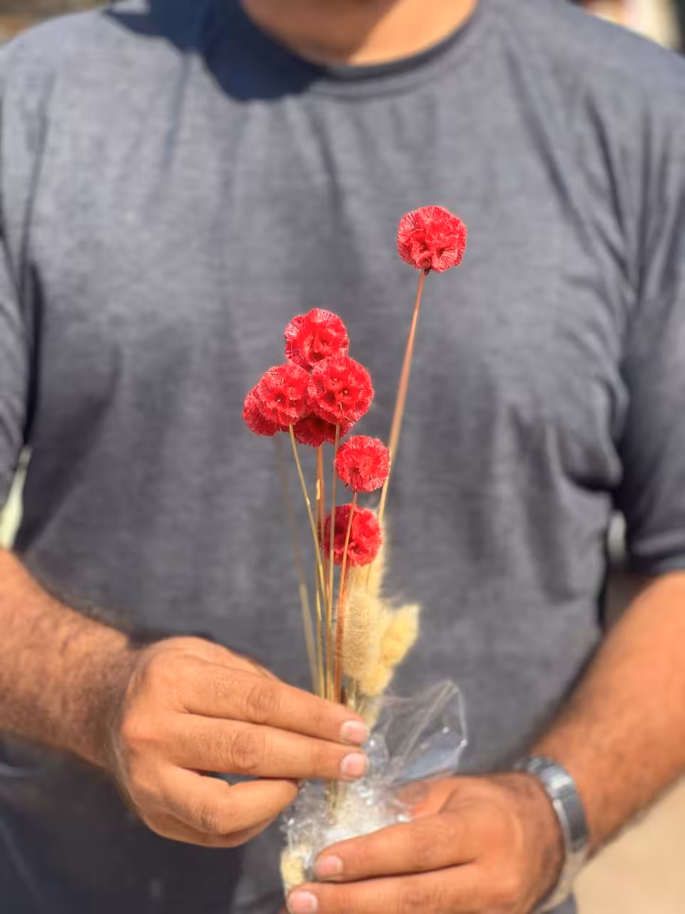 گل خشک طبیعی مریخی اسکابیوسا رنگ قرمز