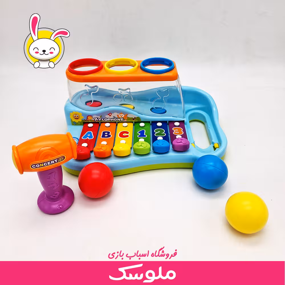 اسباب بازی آموزشی چکشی بلزدار هولا تویز