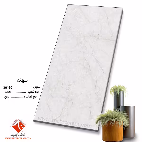 سرامیک سهند روشن 60*30 کاشی آبنوس