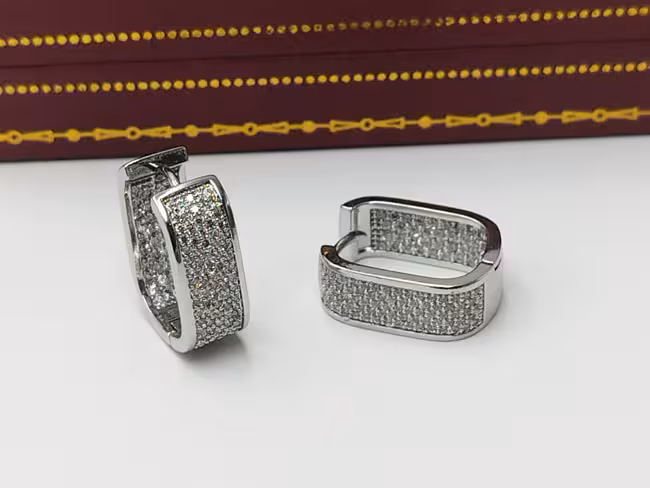 گوشواره مجلسی لوکس خاص کد go161