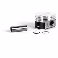 پيستون EF7 باخار و گژن پين عظام کد 3107282