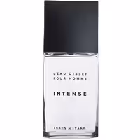 عطر ادکلن مردانه ایسی میاکه مدل لئو د ایسه اینتنس Issey Miyake L’Eau d’Issey Intense حجم 125 میلی لیتر | Issey Miyake L Eau D Issey Pour Homme Intense Eau De Toilette 125 ml
