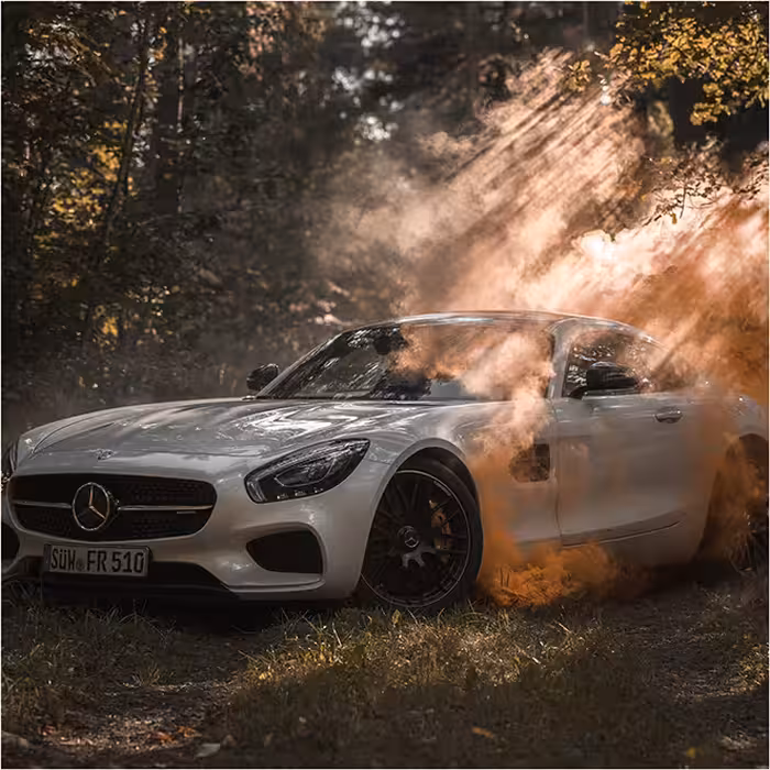 تابلو مدل مرسدس در جنگل