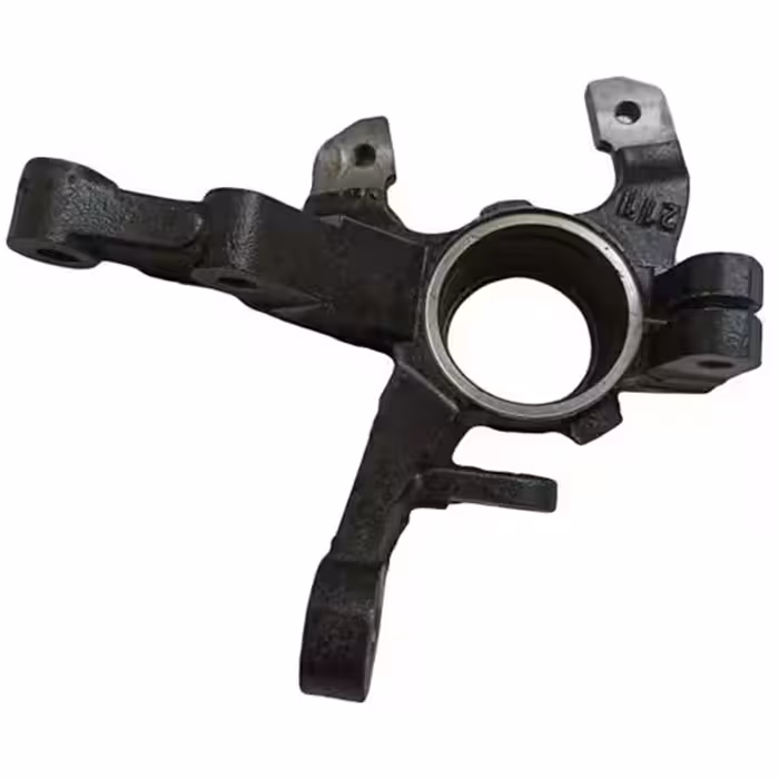 سگ دست راست تيبا طرح جديد – عظام