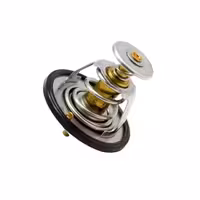 ترموستات هاوال H9