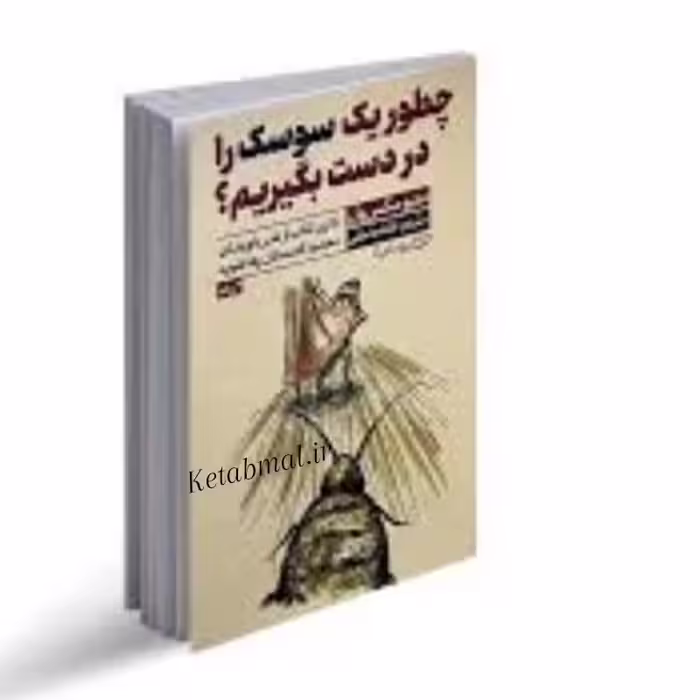 کتاب چطور یک سوسک را در دست بگیریم اثر متیو مکس ول انتشارات یوشیتا دو زبانه
