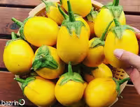 بذر بادمجان دلمه ای زرد
