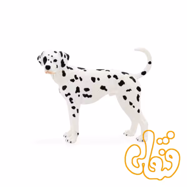 سگ دالماسی بزرگ Dalmatian 387248