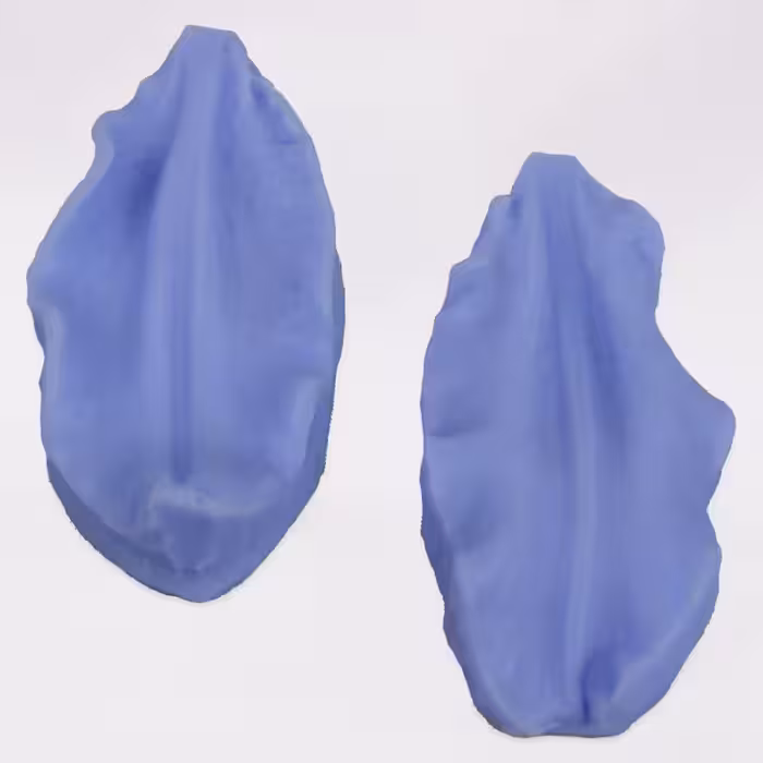 بودکور وينر سيليکوني ليليوم آمريکايي 2100111