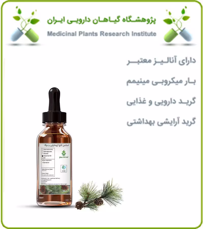 اسانس کاج مخصوص آروماتراپی و یوگا