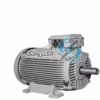 الکتروموتور موتوژن، 55 کیلو وات – 3000 دور ( چدنی )