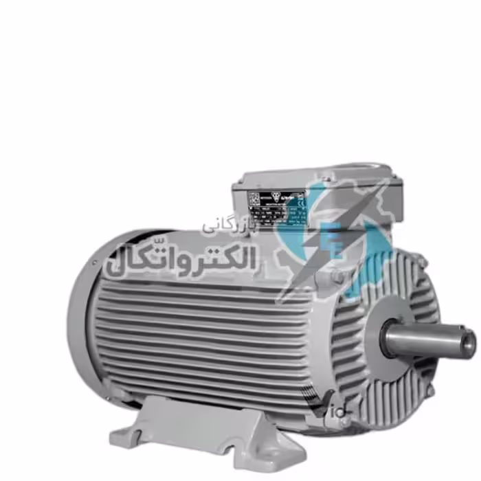 الکتروموتور موتوژن، 55 کیلو وات – 3000 دور ( چدنی )