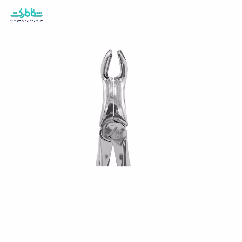 فورسپس عقل بالا 3006