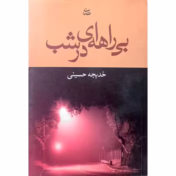 بی راهه ای در شب