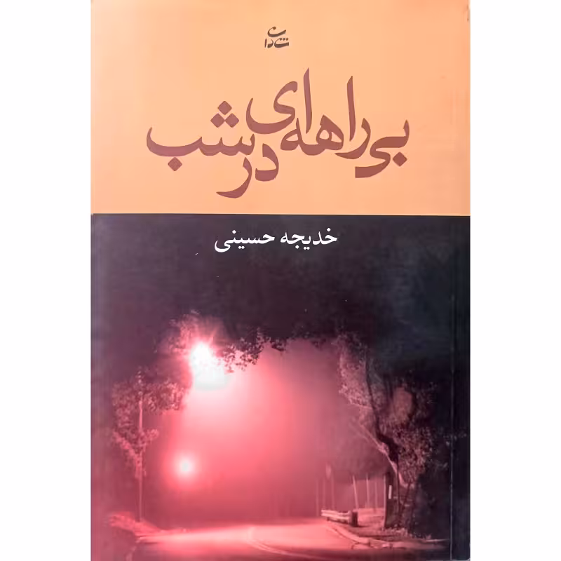 بی راهه ای در شب