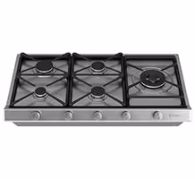 گاز صفحه ای داتیس DS 535