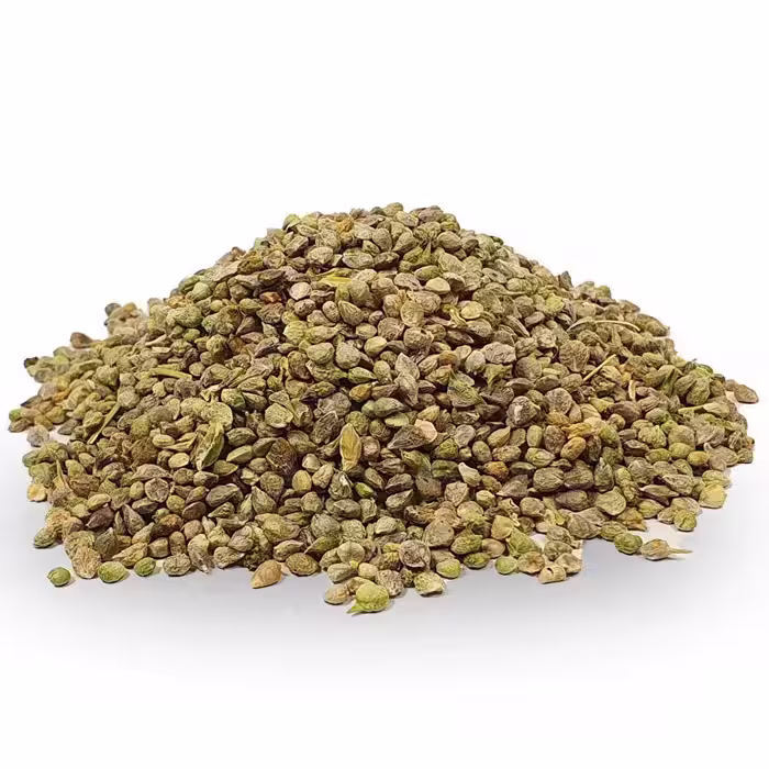 بذر اسفناج