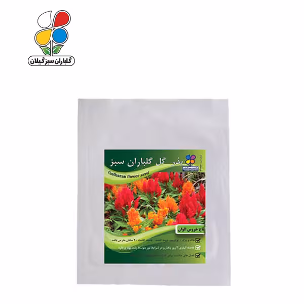 بذر گل تاج خروس الوان بسته بندی بزرگ ( بسته 24 عددی )
