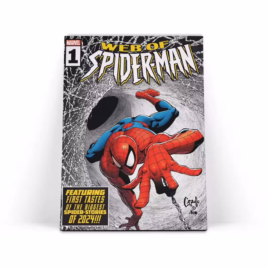 تابلو شاسی مرد عنکبوتی Spider-Man 28