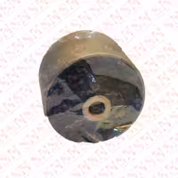 بوش بچه اکسل بزرگ ماکسیما