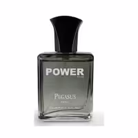 عطر مردانه پاور پالس مینی انکر نویر