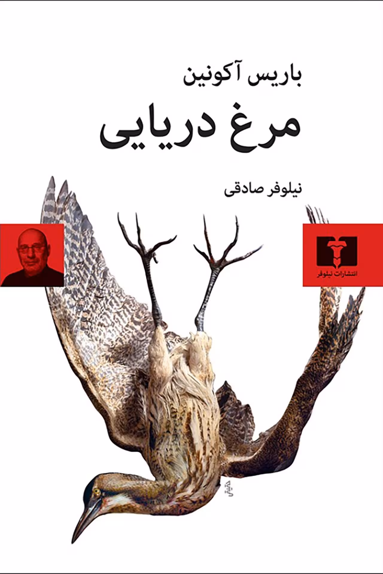 کتاب مرغ دریایی
