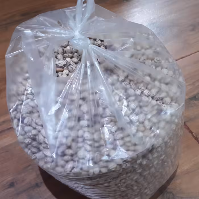 لوبیا چیتی یک کیلویی اعلا