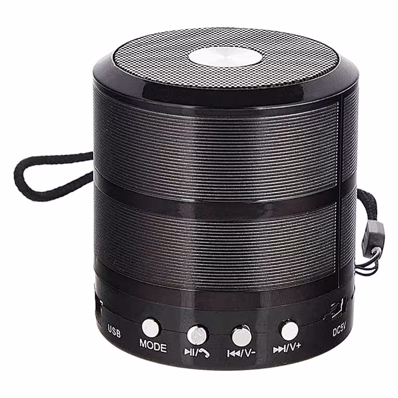 اسپیکر قابل حمل مدل WS-887 | کالا مکس