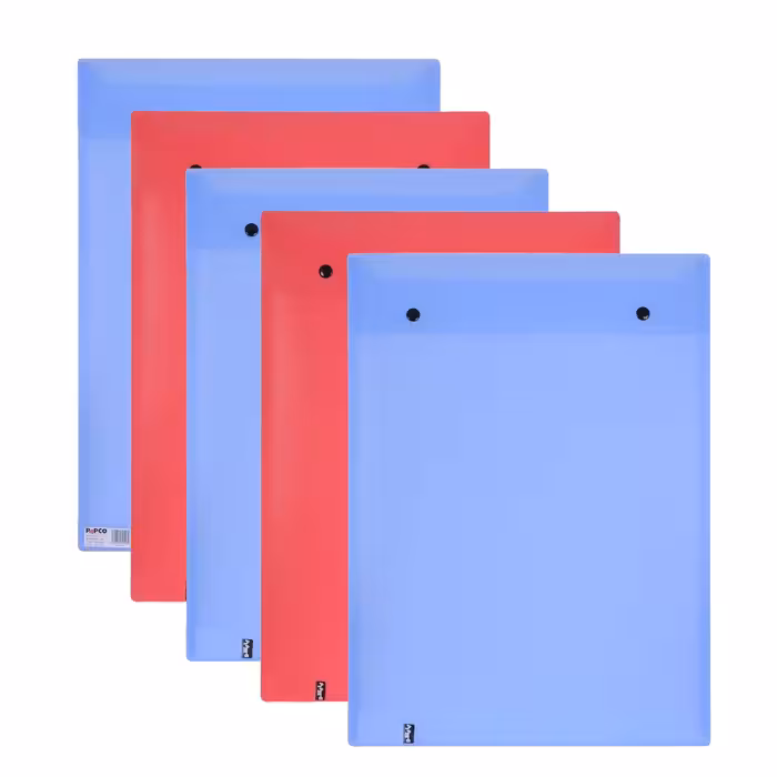 پوشه دکمه دار پاپکو مدل ارکید 124 - A3 -  بسته 6 عددی