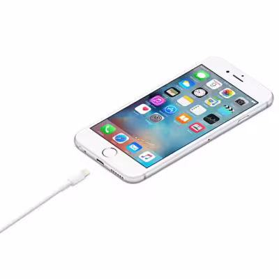 کابل تبدیل usb به لایتنینگ مدل 251 طول 1 متر
